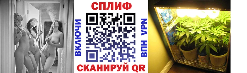 Купить где  Кизляр  Бошки Шишки тримм 